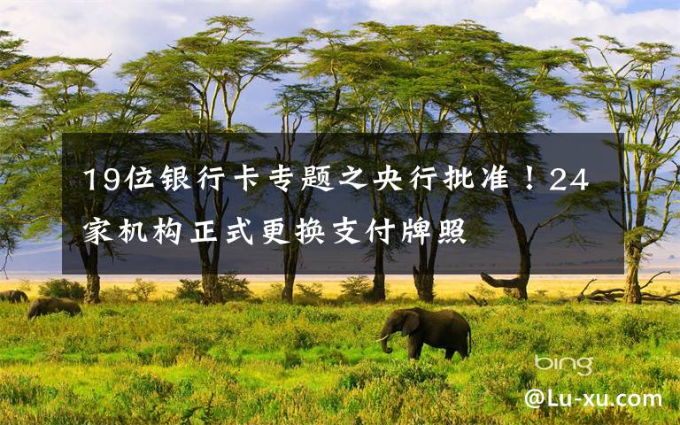 19位银行卡专题之央行批准！24家机构正式更换支付牌照