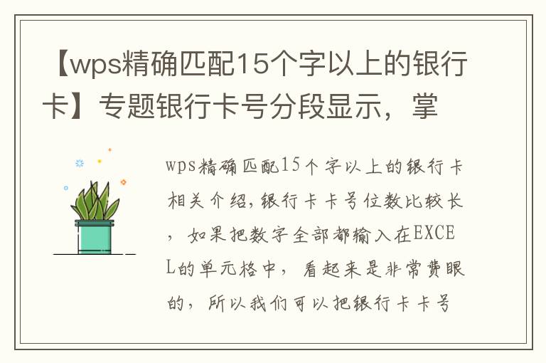 【wps精确匹配15个字以上的银行卡】专题银行卡号分段显示，掌握这两种方法和技巧让别人刮目相看