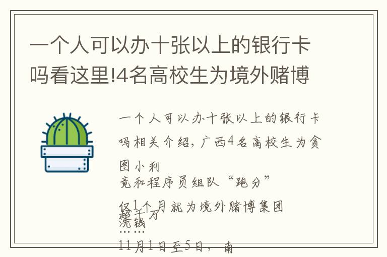 一个人可以办十张以上的银行卡吗看这里!4名高校生为境外赌博集团1个月洗钱超千万，收入用于买游戏装备、喂养品种猫