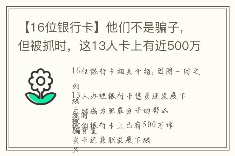 【16位银行卡】他们不是骗子，但被抓时，这13人卡上有近500万！