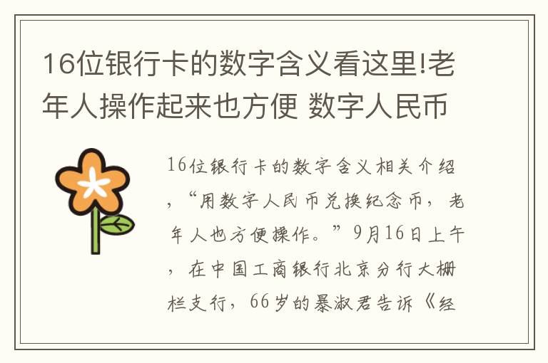 16位银行卡的数字含义看这里!老年人操作起来也方便 数字人民币支付受欢迎