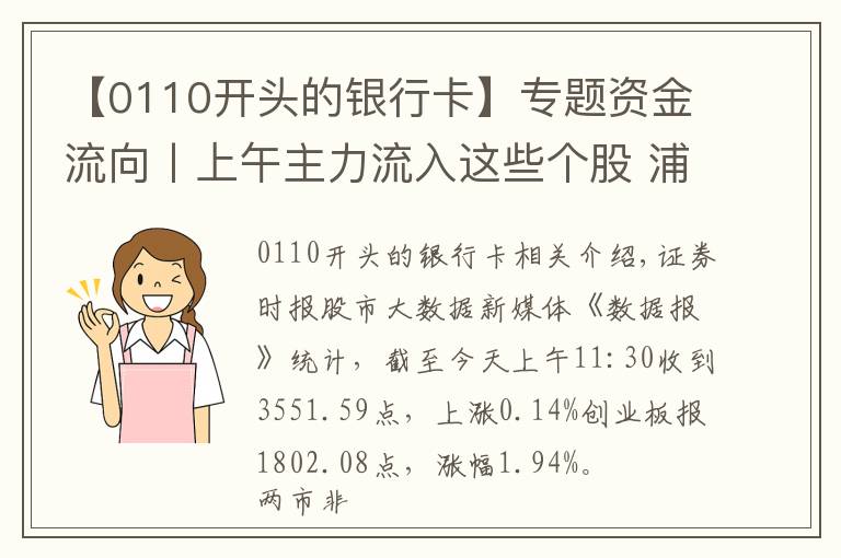 【0110开头的银行卡】专题资金流向丨上午主力流入这些个股 浦发银行居首