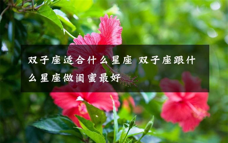 双子座适合什么星座 双子座跟什么星座做闺蜜最好