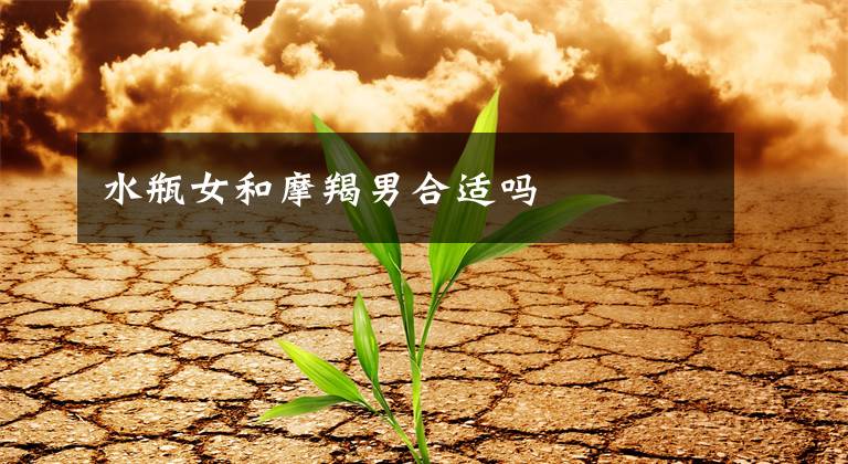 水瓶女和摩羯男合适吗