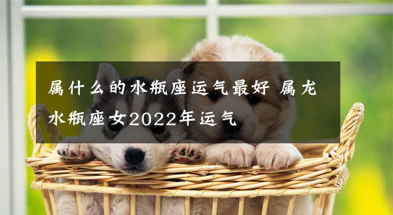 属什么的水瓶座运气最好 属龙水瓶座女2022年运气