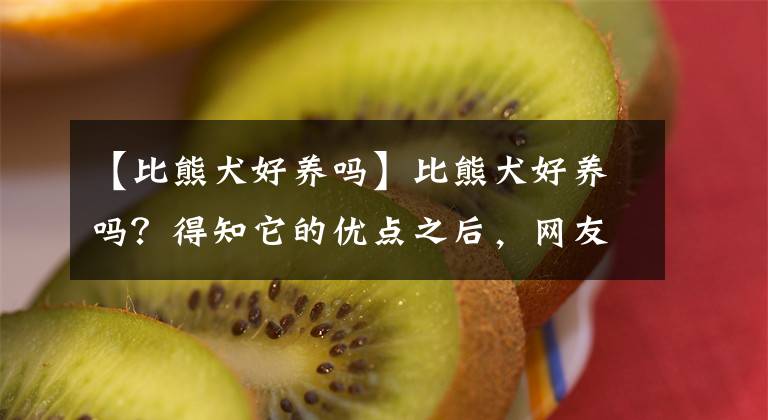 【比熊犬好养吗】比熊犬好养吗？得知它的优点之后，网友直呼：值得拥有