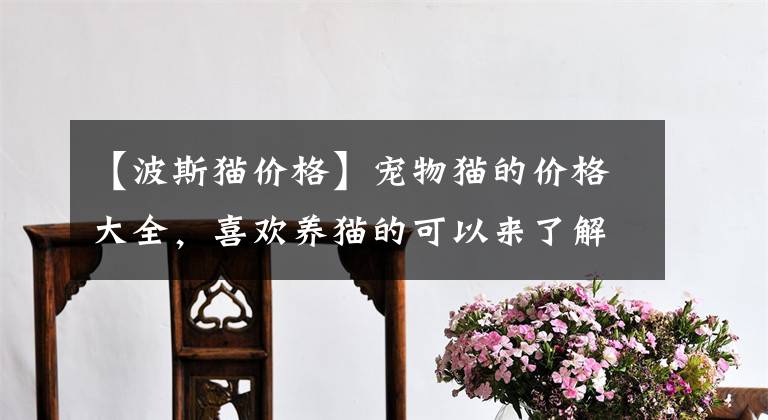 【波斯猫价格】宠物猫的价格大全，喜欢养猫的可以来了解探讨下