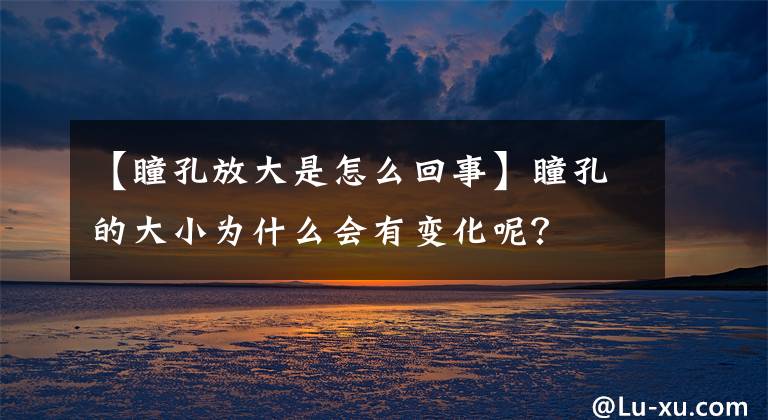 【瞳孔放大是怎么回事】瞳孔的大小为什么会有变化呢？