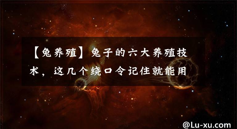 【兔养殖】兔子的六大养殖技术，这几个绕口令记住就能用上，快来试吧