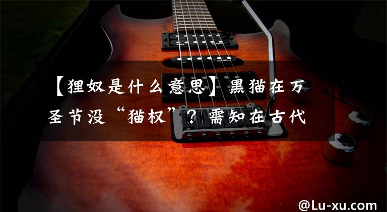 【狸奴是什么意思】黑猫在万圣节没“猫权”？需知在古代，玄猫的地位极为超然
