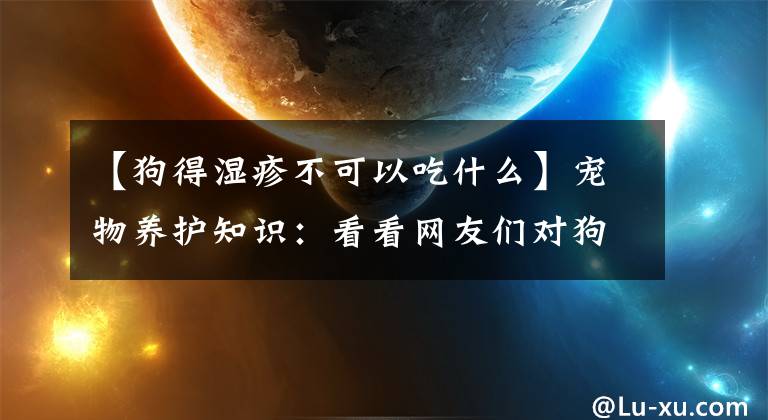 【狗得湿疹不可以吃什么】宠物养护知识：看看网友们对狗狗湿疹红点治疗方法怎么说。