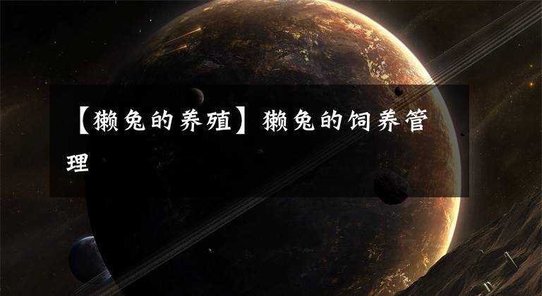 【獭兔的养殖】獭兔的饲养管理