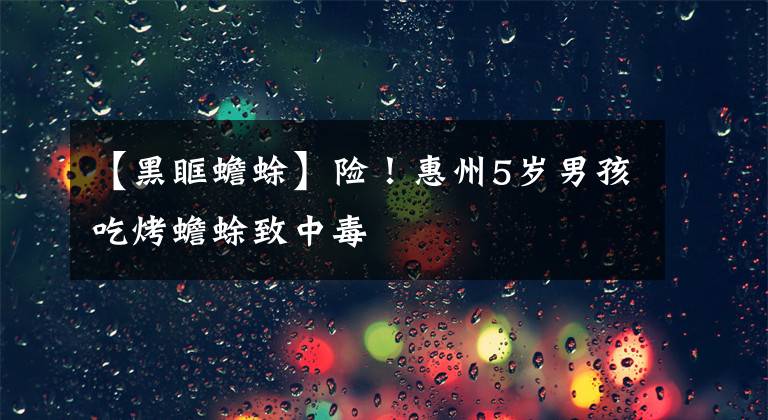 【黑眶蟾蜍】险！惠州5岁男孩吃烤蟾蜍致中毒