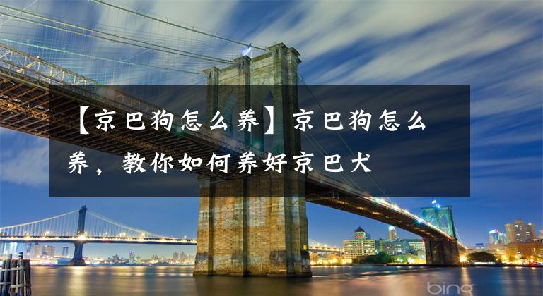 【京巴狗怎么养】京巴狗怎么养，教你如何养好京巴犬