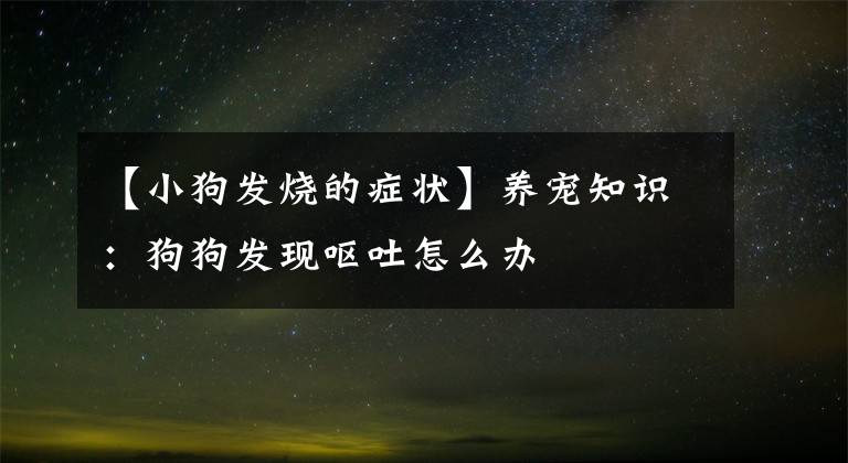 【小狗发烧的症状】养宠知识：狗狗发现呕吐怎么办