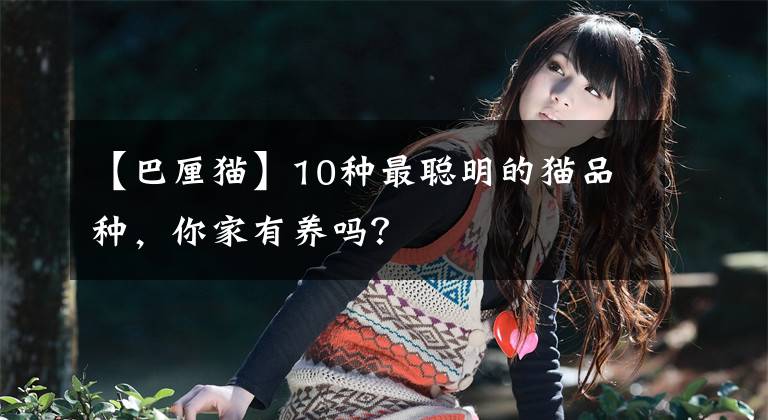 【巴厘猫】10种最聪明的猫品种，你家有养吗？
