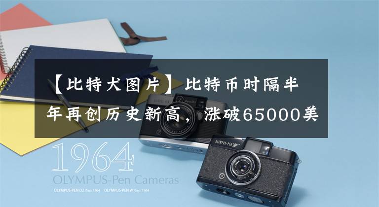 【比特犬图片】比特币时隔半年再创历史新高，涨破65000美元/枚