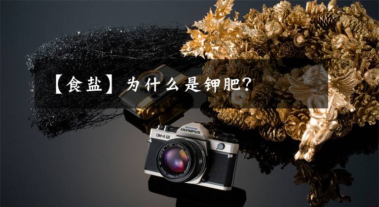 【食盐】为什么是钾肥？