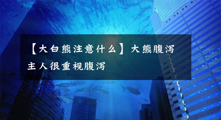 【大白熊注意什么】大熊腹泻主人很重视腹泻