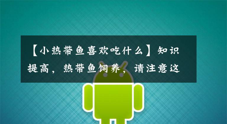 【小热带鱼喜欢吃什么】知识提高，热带鱼饲养，请注意这几点！