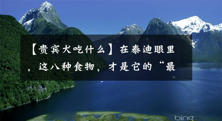 【贵宾犬吃什么】在泰迪眼里，这八种食物，才是它的“最爱”！