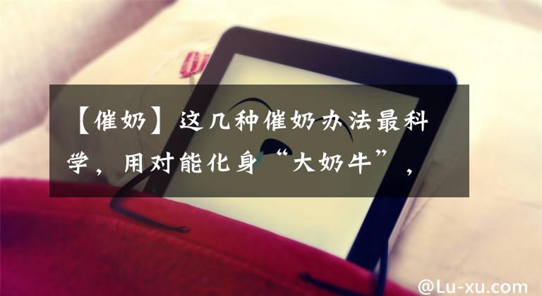【催奶】这几种催奶办法最科学，用对能化身“大奶牛”，孩子不愁吃