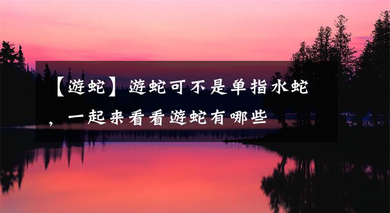 【游蛇】游蛇可不是单指水蛇，一起来看看游蛇有哪些
