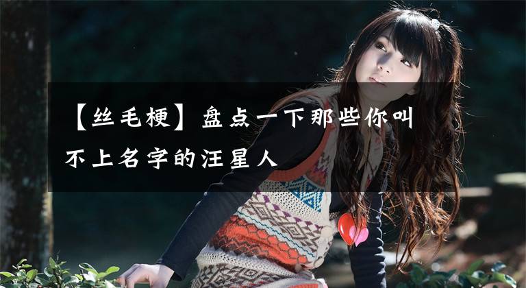 【丝毛梗】盘点一下那些你叫不上名字的汪星人