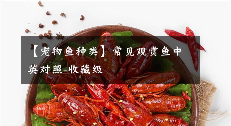 【宠物鱼种类】常见观赏鱼中英对照-收藏级