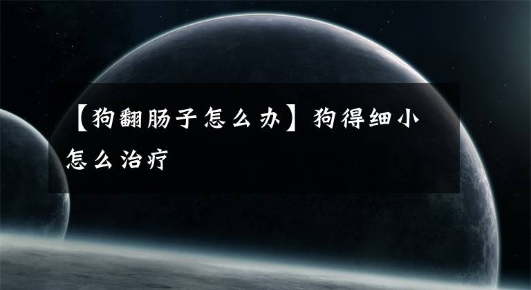 【狗翻肠子怎么办】狗得细小怎么治疗