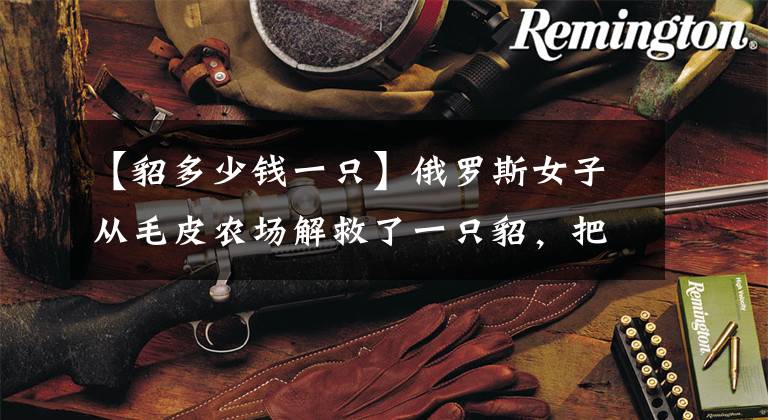 【貂多少钱一只】俄罗斯女子从毛皮农场解救了一只貂，把它驯化成了宠物