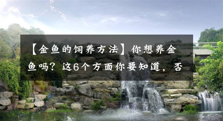 【金鱼的饲养方法】你想养金鱼吗？这6个方面你要知道，否则我劝你还是别养了吧