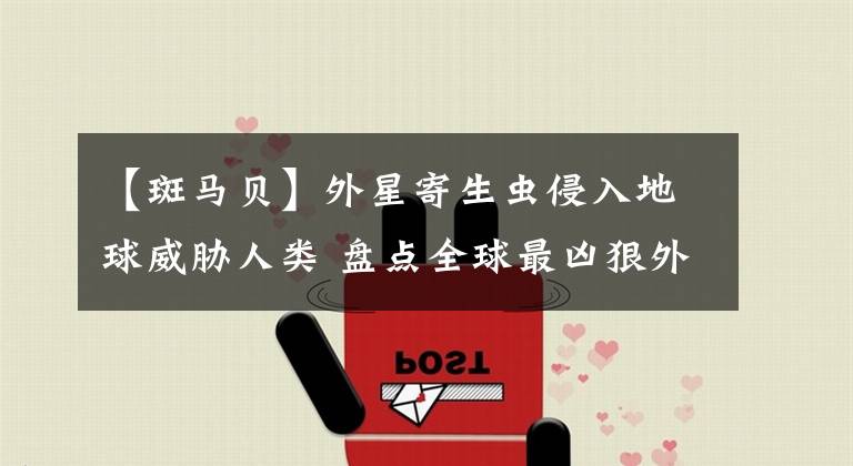 【斑马贝】外星寄生虫侵入地球威胁人类 盘点全球最凶狠外来物种