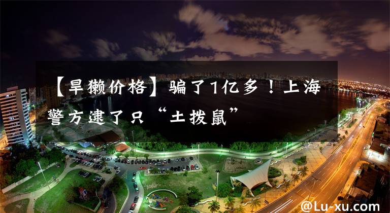 【旱獭价格】骗了1亿多！上海警方逮了只“土拨鼠”
