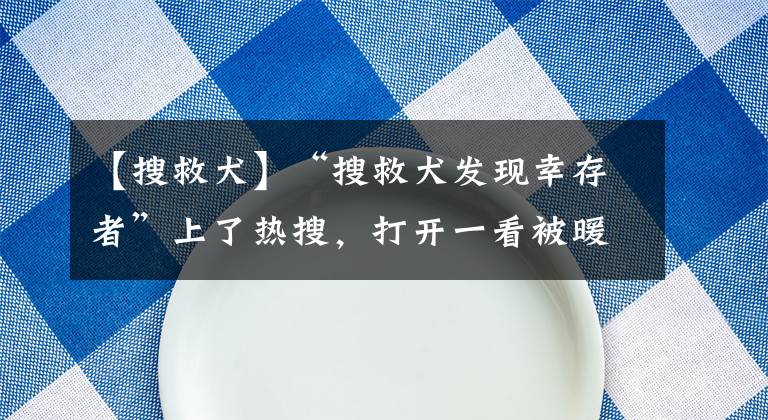 【搜救犬】“搜救犬发现幸存者”上了热搜，打开一看被暖哭了