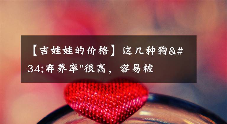 【吉娃娃的价格】这几种狗"弃养率"很高，容易被抛弃，太让人心疼了