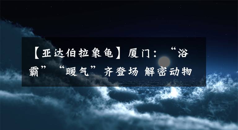 【亚达伯拉象龟】厦门：“浴霸”“暖气”齐登场 解密动物园的过冬秘诀