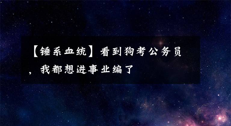 【锤系血统】看到狗考公务员，我都想进事业编了