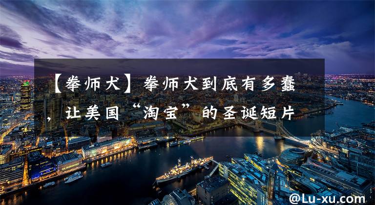 【拳师犬】拳师犬到底有多蠢，让美国“淘宝”的圣诞短片告诉你