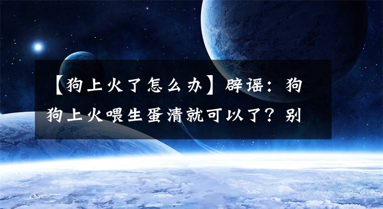 【狗上火了怎么办】辟谣：狗狗上火喂生蛋清就可以了？别再让民间偏方荼毒你的大脑了