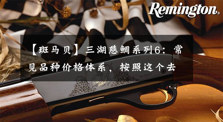 【斑马贝】三湖慈鲷系列6：常见品种价格体系，按照这个去买就对了