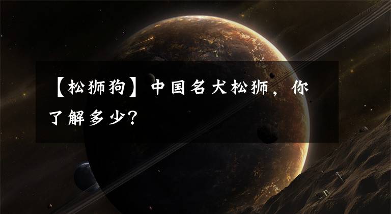【松狮狗】中国名犬松狮，你了解多少？