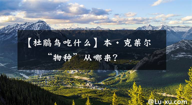 【杜鹃鸟吃什么】本·克莱尔：“物种”从哪来？