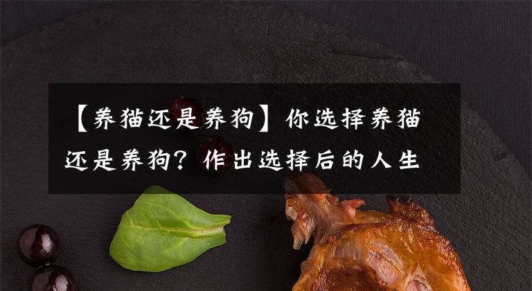 【养猫还是养狗】你选择养猫还是养狗？作出选择后的人生是完全不同的