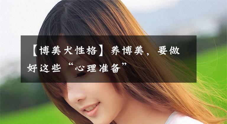 【博美犬性格】养博美，要做好这些“心理准备”