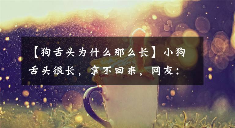 【狗舌头为什么那么长】小狗舌头很长，拿不回来，网友：狗啊，和毒液有什么关系？
