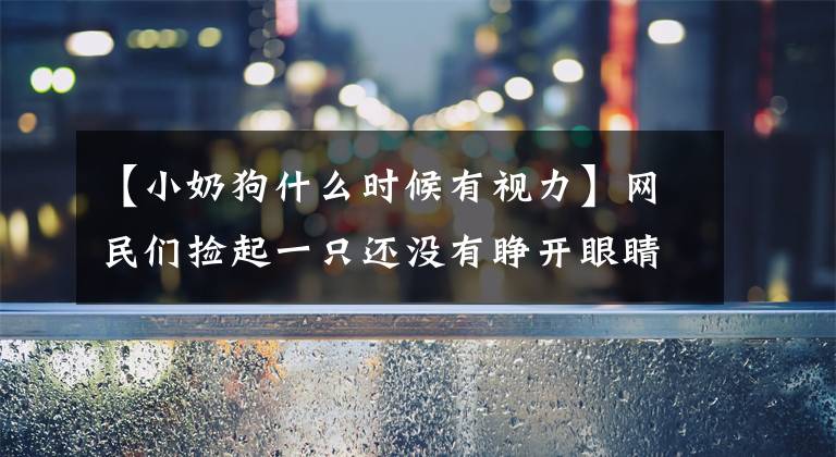 【小奶狗什么时候有视力】网民们捡起一只还没有睁开眼睛的小奶狗，带回了家，成为了撒娇的小公主。