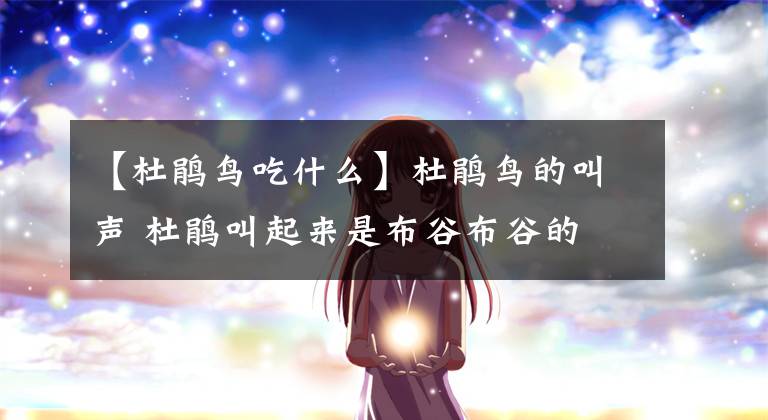 【杜鹃鸟吃什么】杜鹃鸟的叫声 杜鹃叫起来是布谷布谷的
