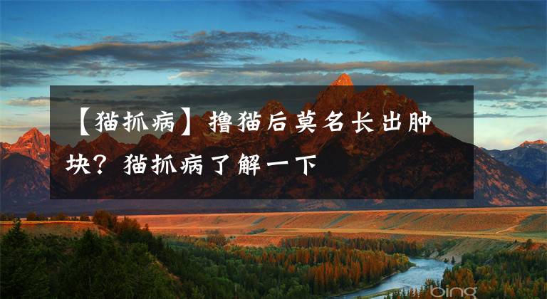 【猫抓病】撸猫后莫名长出肿块？猫抓病了解一下