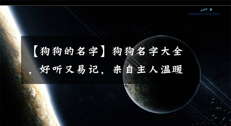 【狗狗的名字】狗狗名字大全，好听又易记，来自主人温暖的关爱